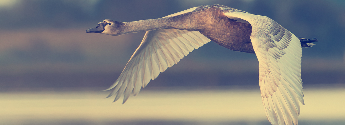 Wertvolle Naturräume